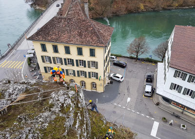 Klicken, um das Bild zu vergrößern Sträucher schneiden in einer Felswand unterhalb der reformierten Kirche Aarburg, Auflage 2017