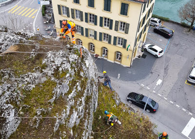 Klicken, um das Bild zu vergrößern Sträucher schneiden in einer Felswand unterhalb der reformierten Kirche Aarburg, Auflage 2017