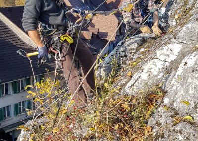 Klicken, um das Bild zu vergrößern Grünwuchsentfernung Kirchenfels Aarburg
