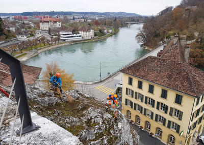 Klicken, um das Bild zu vergrößern Sträucher schneiden in einer Felswand unterhalb der reformierten Kirche Aarburg, Auflage 2017