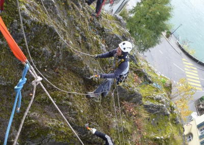 Klicken, um das Bild zu vergrößern Sträucher schneiden und Moos entfernen am Kirchenfels Aarburg