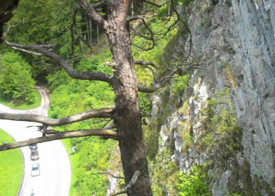 Klicken, um das Bild zu vergrößern Felsräumungen entlang Solothurner Kantonsstrassen