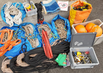 Klicken, um das Bild zu vergrößern Sträucher schneiden in einer Felswand unterhalb der reformierten Kirche Aarburg, Auflage 2017