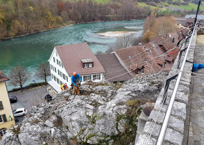 Klicken, um das Bild zu vergrößern Sträucher schneiden in einer Felswand unterhalb der reformierten Kirche Aarburg, Auflage 2017