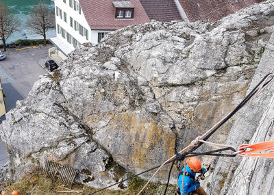 Klicken, um das Bild zu vergrößern Sträucher schneiden in einer Felswand unterhalb der reformierten Kirche Aarburg, Auflage 2017