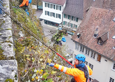 Klicken, um das Bild zu vergrößern Grünwuchsentfernung Kirchenfels Aarburg