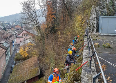Klicken, um das Bild zu vergrößern Sträucher schneiden in einer Felswand unterhalb der reformierten Kirche Aarburg, Auflage 2017