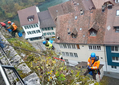 Klicken, um das Bild zu vergrößern Grünwuchsentfernung Kirchenfels Aarburg