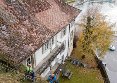 Klicken, um das Bild zu vergrößern Sträucher schneiden in einer Felswand unterhalb der reformierten Kirche Aarburg, Auflage 2017