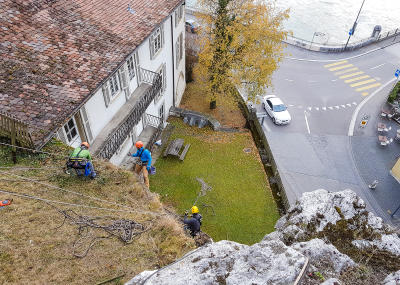 Klicken, um das Bild zu vergrößern Sträucher schneiden in einer Felswand unterhalb der reformierten Kirche Aarburg, Auflage 2017