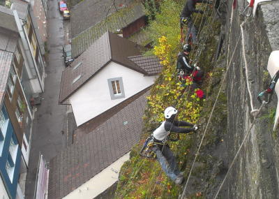 Klicken, um das Bild zu vergrößern Sträucher schneiden und Moos entfernen am Kirchenfels Aarburg