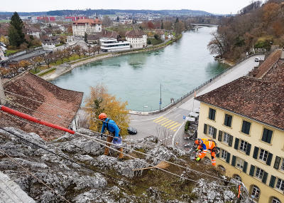 Klicken, um das Bild zu vergrößern Sträucher schneiden in einer Felswand unterhalb der reformierten Kirche Aarburg, Auflage 2017